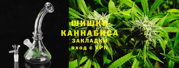 шишки Богданович